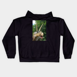 Land of the Dinosaurs Kids Hoodie